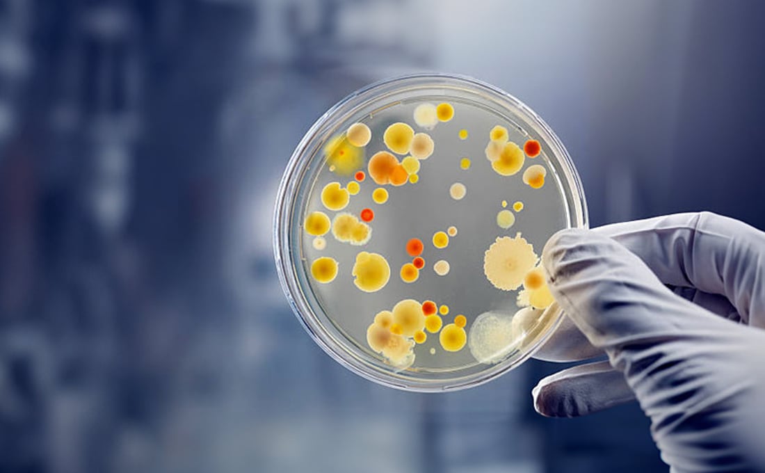 Gloved hand holding lab sample